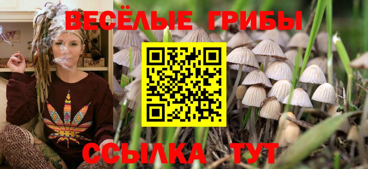Галлюциногенные грибы MAGIC MUSHROOMS Лобня